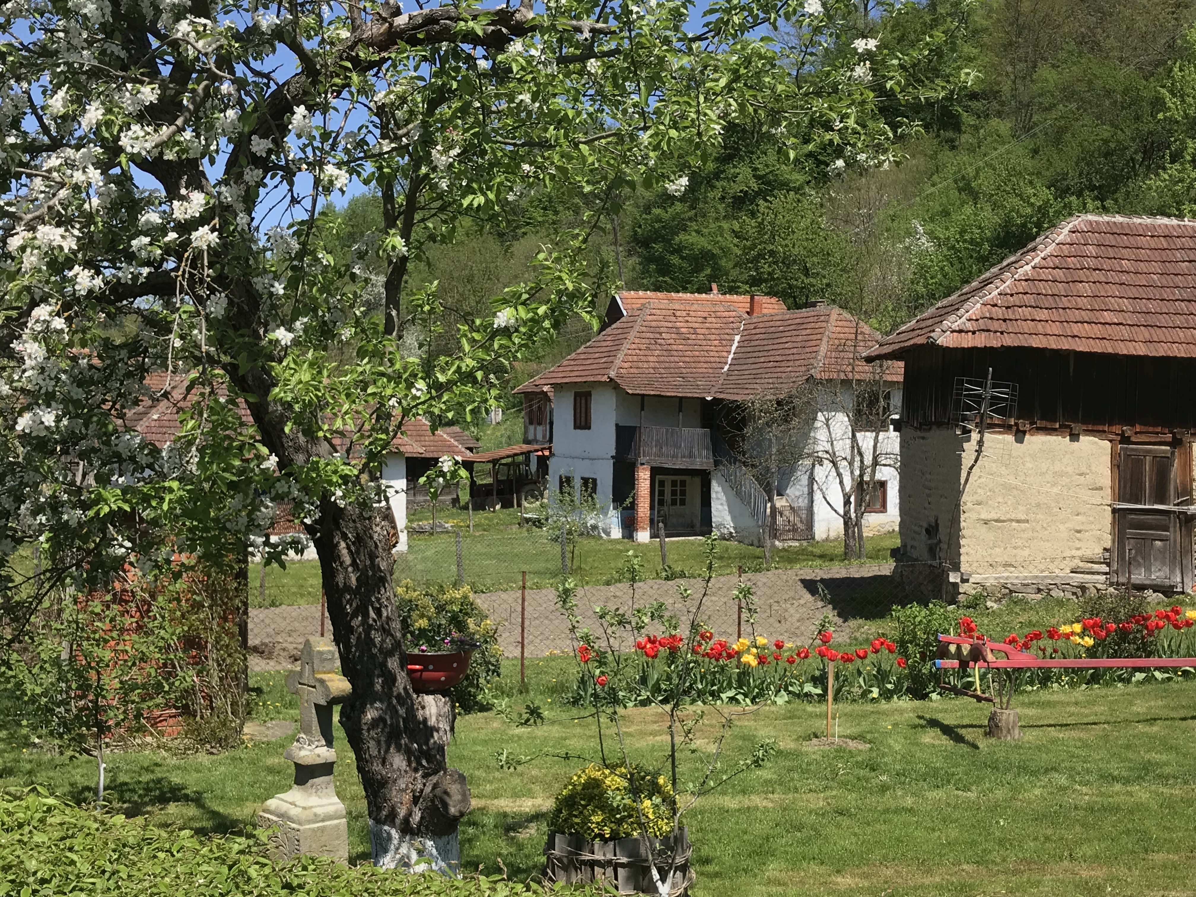 Tim za poljoprivredu i ruralni razvoj